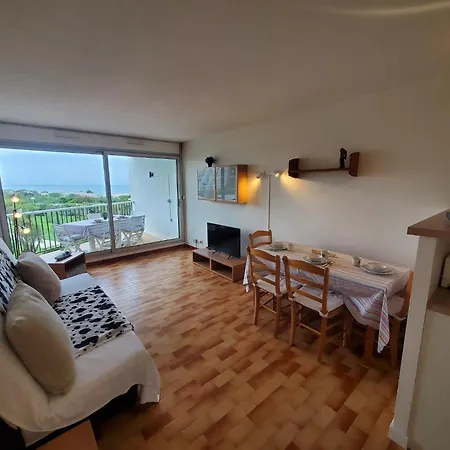Dunes 1d4 Vue Wifi Climatisation Piscine Et Son Pk Λα Γκραντ-Μοτ